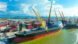 Lĩnh vực kinh doanh